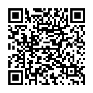蕴含灵气的珍贵草药便成为了林烽要寻找的目标了二维码生成
