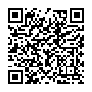 虎啸家族却被一位实力更强的前辈在弹指之间覆灭二维码生成