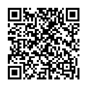 虎帅什么时候看出来我不是厉无疾的……不会是在诈我吧二维码生成