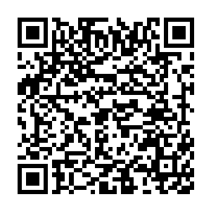 虚空之中飞出了一块铭刻着奇异符文的白玉一下落在了赵虎的手中二维码生成