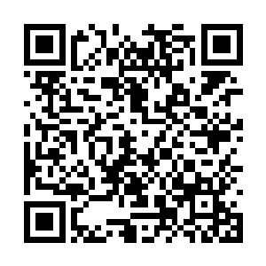 虽然一时之间看上去这具分身并没有受到什么伤痕二维码生成