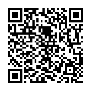 虽然之前他对秦洛年纪轻轻就获得如此大的名声很是妒忌不满二维码生成