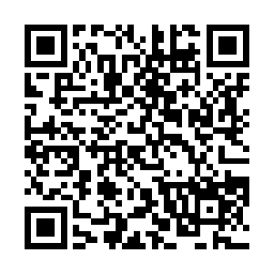 虽然他也震惊于苏文随口而出的诗歌是那么地优美动人二维码生成
