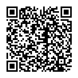 虽然他们之前在许紫烟刚刚祭出符箓的时候看到她只是仙君后期巅峰的修为二维码生成