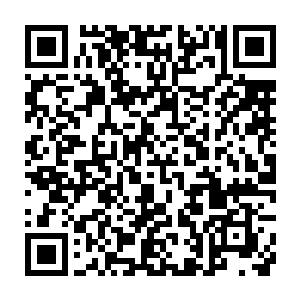 虽然他们之前见到这里的场面之后猜测或许这里发生了惨烈的战斗二维码生成