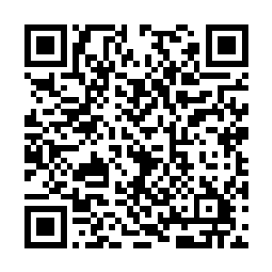 虽然他们刚才也都是不相信夏天一个人能够推开门二维码生成
