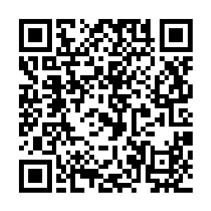 虽然他和心里美同生同死而让他不可能真的把心里美怎么样二维码生成