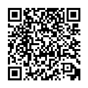 虽然你的可以利用注入敌人体内的荒草之力来瞬间控制住对方二维码生成