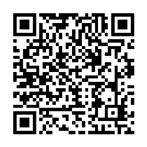 虽然墨呈他们的浩然正气还没强大到可以具备治愈的效果二维码生成