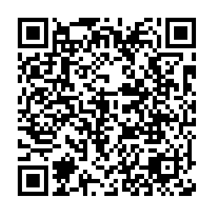 虽然如此　但各个都是超级强大的变态妖孽　横推同境界无敌手的存在二维码生成