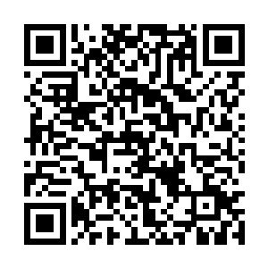 虽然学校里能学到的只是一些中医的基础理论知识二维码生成