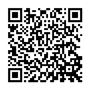 虽然岳京的身体被燕山魂一次次地给砸飞或者直接给轰进了地底二维码生成