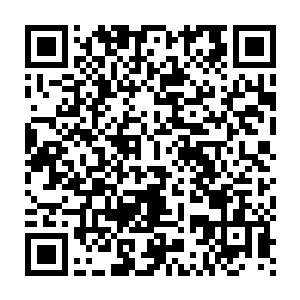 虽然明面上朗还是给了一些建议――在约瑟夫看来完全不负责任的意见二维码生成