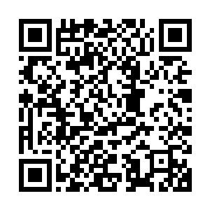 虽然易红仙人又不靠谱的不知道具体预言让流墨墨他们吐槽不已二维码生成