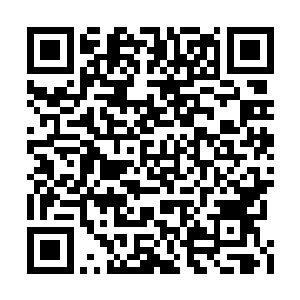 虽然林允儿和刘在石完全听不懂金在珉在唱什么二维码生成