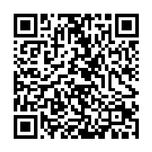 虽然此次凌一剑没有一次性单挑言峥的所有真传弟子二维码生成
