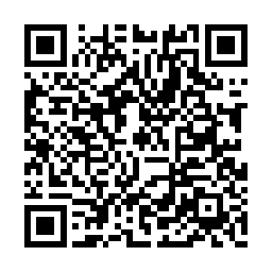 虽然没有对外正式声明此次侵权本是凌桦的责任二维码生成