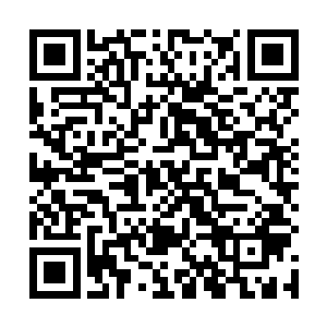 虽然流墨墨问这个的原因八成又是在琢磨怎么把他弄走二维码生成