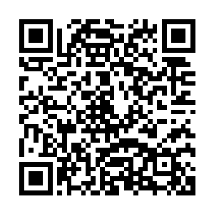 虽然花木兰已经将自己的伪仙器给镀上了一层其他金属的颜色二维码生成