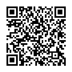 虽然这些灵药是直接挖了百花谷的但流墨墨也依然心疼的很二维码生成