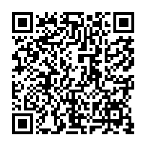 虽然这原石里面没有翡翠……不过把这块大石头拍回家里用来压咸菜缸也是二维码生成