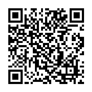 虽然这次的表演战没从宇宙大使那得到实质性的奖励二维码生成