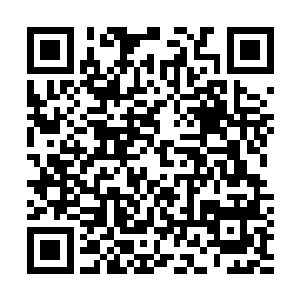 虽然这玩意儿对于滑溜且外皮坚韧Q弹的水母杀伤性不怎么样二维码生成