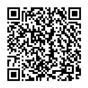 虽然这青言的身体极有可能因为上次施展的傀儡术的副作用过于强大而失了神智二维码生成