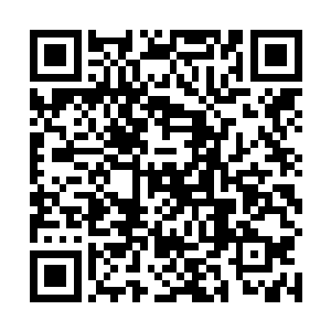虽然邸坤成在书记碰头会上狙击了干部调整名单的通过二维码生成