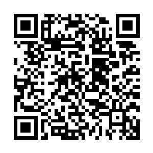 虽然钻石联盟的人暂时不会想到哈里和多萝西娅躲到了仙桃村二维码生成