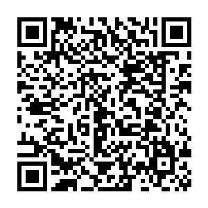 虽然青怡轩几名圣皇刚刚就已经隐隐的猜到了两名神秘大帝的身份二维码生成