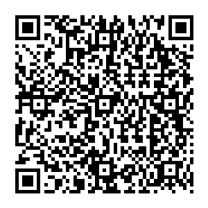 虽说她从昆仑山醒过来完全是因为有人在暗中操作放出了小白嘴里所有的灵体让魏燕吞了下去二维码生成