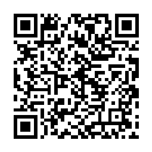 虽说木行峰最强大的两大黄级禁法是甲木神诀和乙木神诀二维码生成