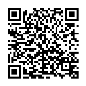 蚊如血见到那真气所化的金色巨龙在咆哮嘶吼着朝自己攻击而来二维码生成