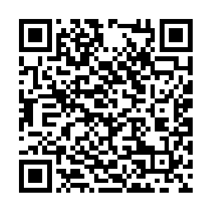 蛊师世界和地球终究是有本质上的不同的通过修行二维码生成