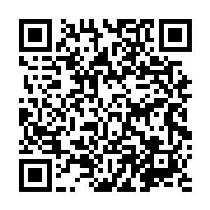 蜕变之后更是从灵长类的生物完全化成了两栖类冷血动物二维码生成