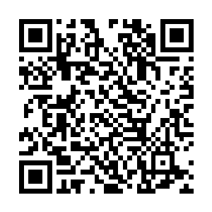 蠡泽新区管委会常务副主任职位已经空缺了有几个月了二维码生成