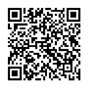 血剑门门主耗费万年年份的天材地宝救活了尚在伴侣腹中的婴孩二维码生成