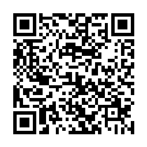 血天使眼神中闪过了一丝不甘之后顿时手中慢慢地结印二维码生成