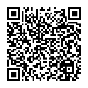 血妖姬们和陌星子舅甥只面无表情的看着两只五行仙灵一顿茹毛饮血二维码生成