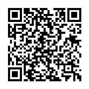 血姬冷看着准备神魂归体的流墨墨的神魂的背影二维码生成