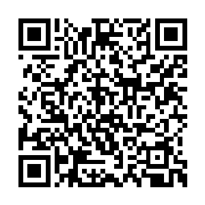 血影退下的瞬间冷寒烟便笑意满面的看着独孤夜二维码生成