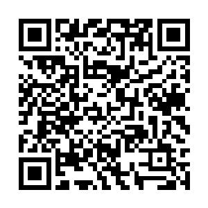 血红魔尊和天狱魔尊嘴里也是忍不住倒抽一口冷气二维码生成