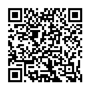 血衣老者随后意念一动小鼎中也是飞出了九条血sè的魔龙二维码生成