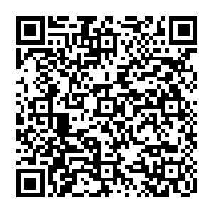 血龙山脉乃是位于南圣公国首都以北一百公里左右的一片被无尽森林笼罩的广阔山脉二维码生成
