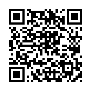 行走在布满棕榈树和椰子树的街道上二维码生成