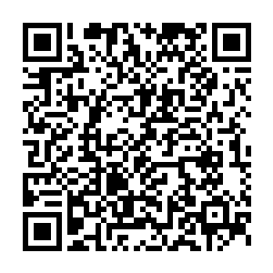 表示其在发酵过程中能转化和萃取的能量与灵气为其发酵物总含量的1%二维码生成