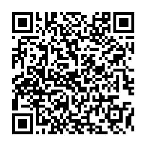表示市委市政府和苏谯县委县政府都会大力支持华达集团的走出去战略二维码生成