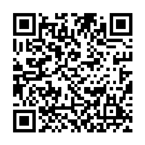 表示这个莫游在蜧族上一任王的手上就已经是长老了二维码生成