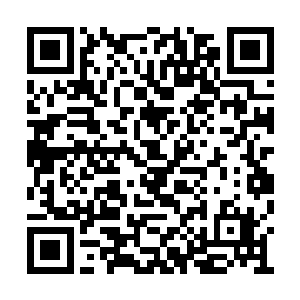 表达了一番高山远止般的景仰和滔滔不息的敬佩二维码生成